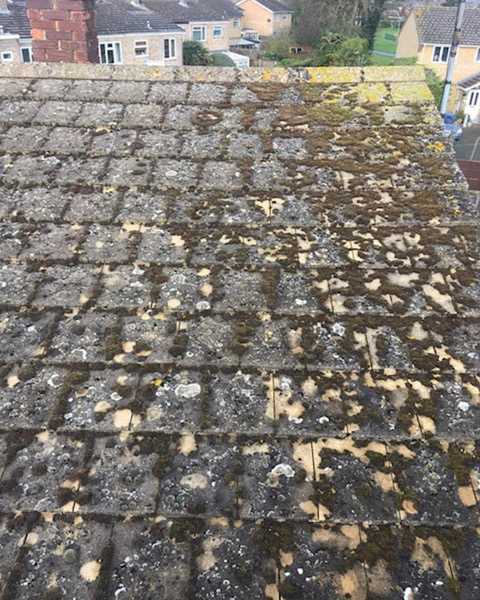 roof cleaning before peterborough